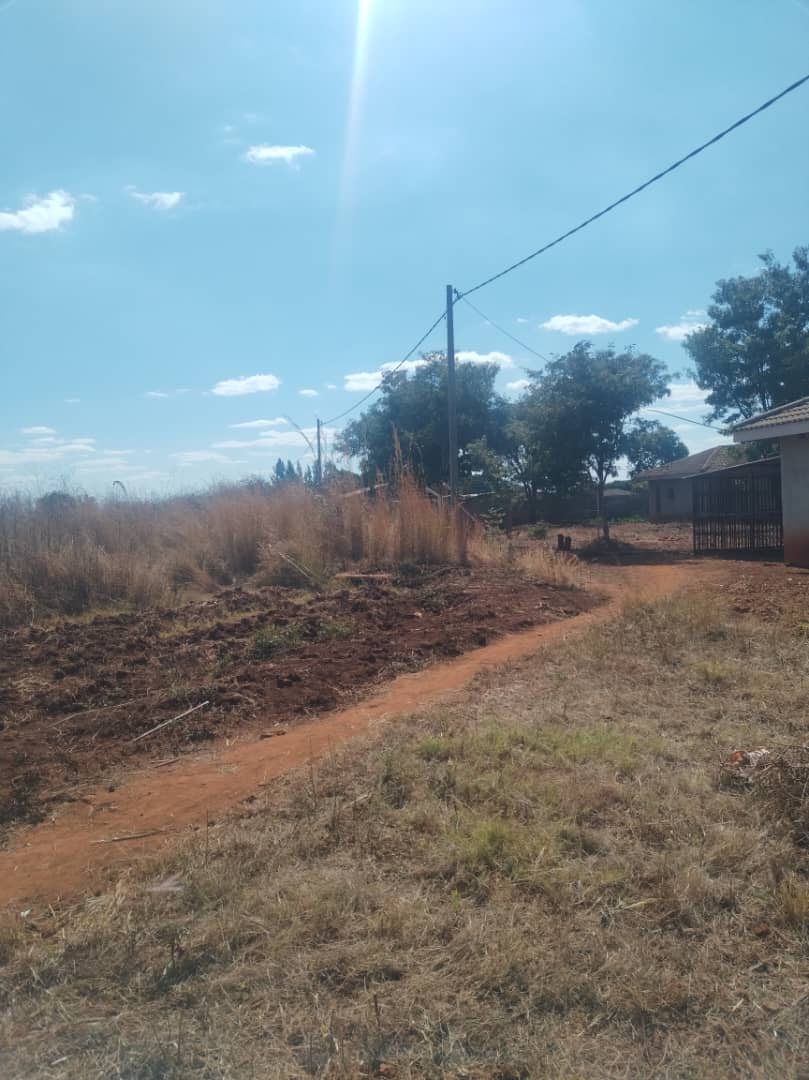 Commercial Complex - 5